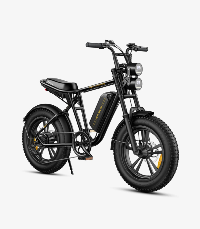 ENGWE M20